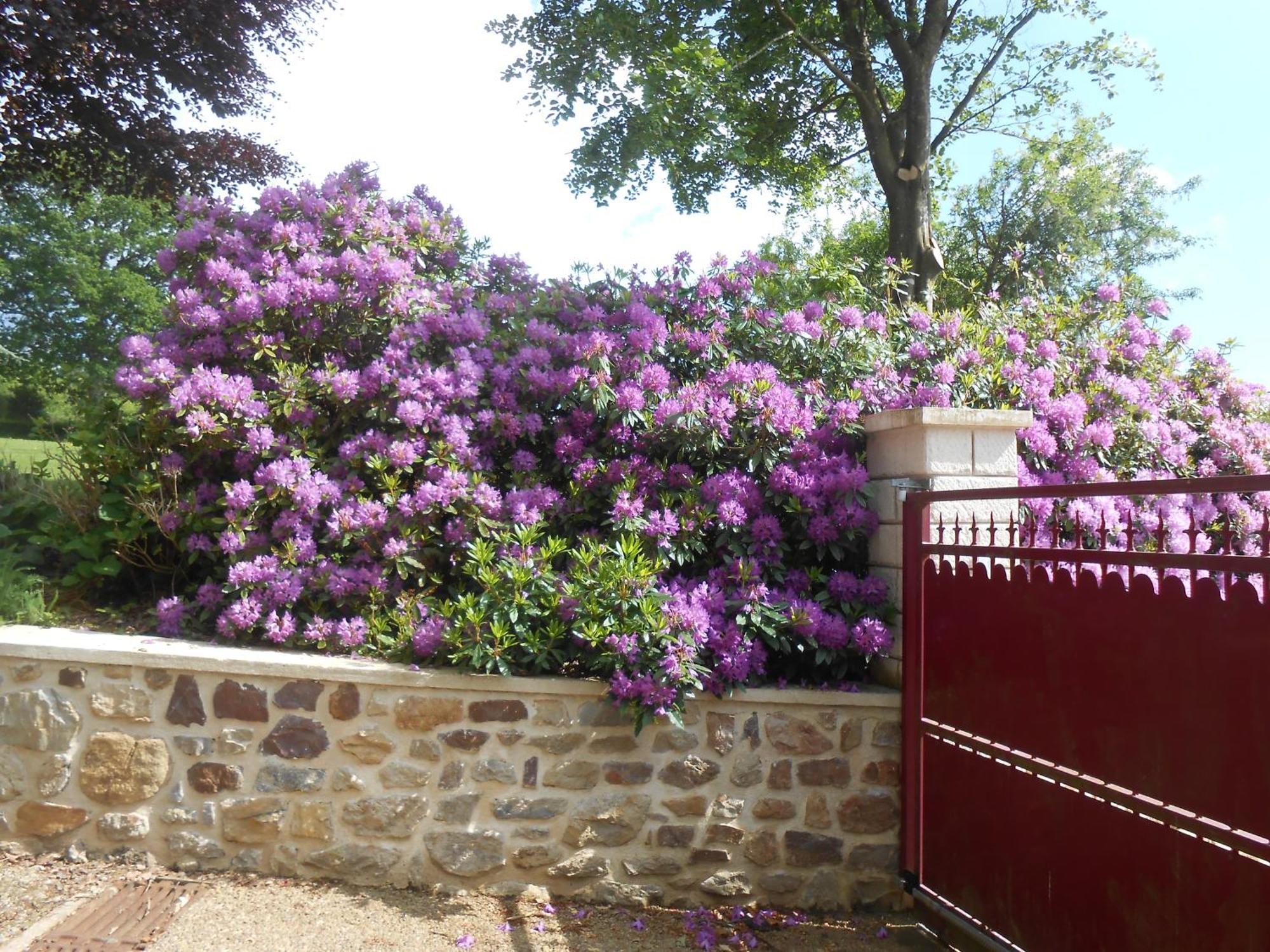 Maison Brix Exterior photo